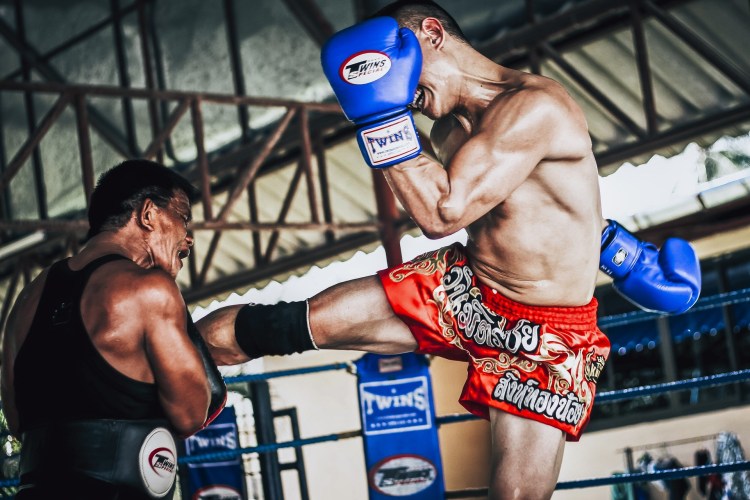 Boxe ou muay thai: qual é a melhor opção?, treinos